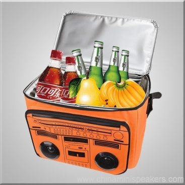 Insulated Lunch Cooler Bag with radio for outdoor picnic activity 4